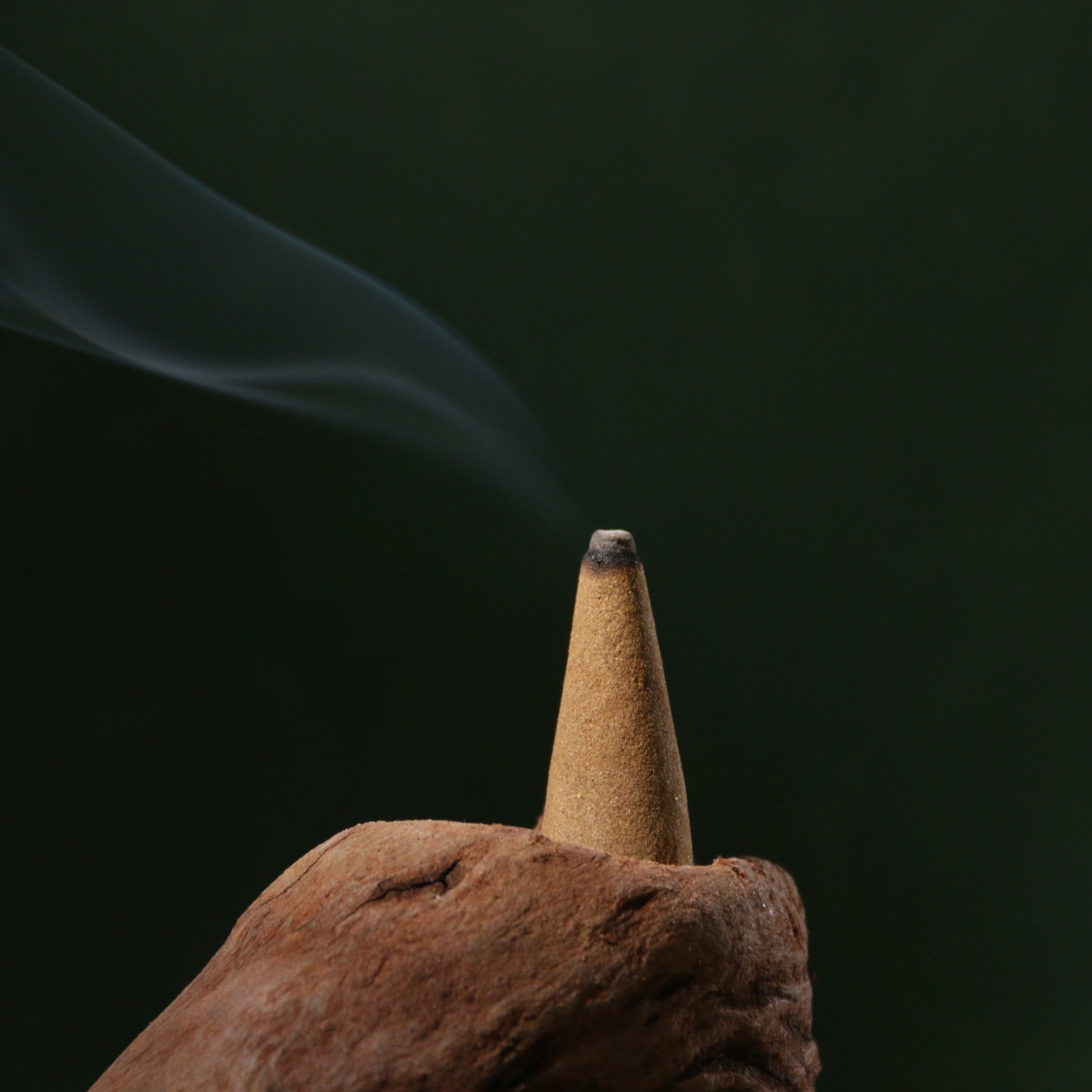 🌙 Witte Musk Wierookkegels – 5 of 10 Stuks | Natuurlijke, Handgemaakte Geur voor Meditatie, Slaap & Energetische Reiniging